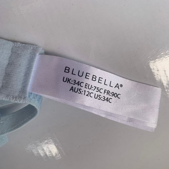 Bluebella Alexandra Bra Longline Blue Mesh Lace Underwired 34C - Picture 5 of 5